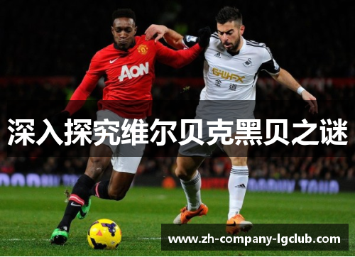 深入探究维尔贝克黑贝之谜